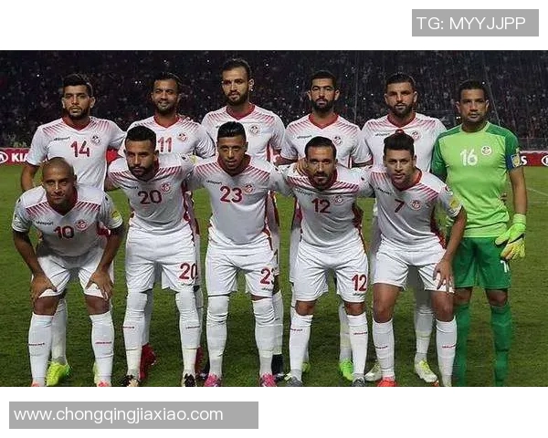 突尼斯队首次参加欧洲杯,表现亮眼晋级16强