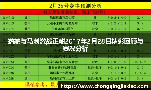 鹈鹕与马刺激战正酣2017年2月28日精彩回顾与赛况分析